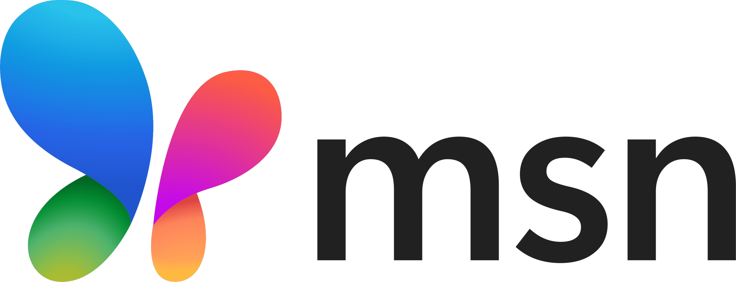 MSN Logo scaled